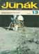 Junk 13